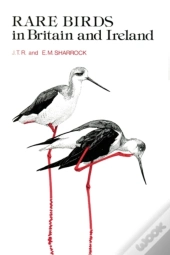 Rare Birds In Britain And Ireland