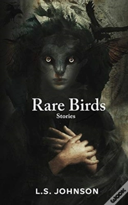 Capa do artigo Rare Birds
