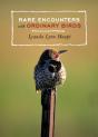 Rare Encounters With Ordinary Birds - Preview