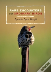 Rare Encounters With Ordinary Birds