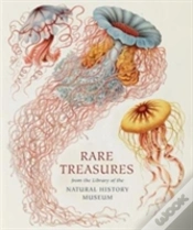 Capa do artigo Rare Treasures