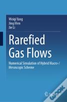 Rarefied Gas Flows