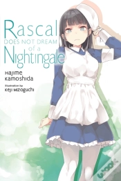 Capa do artigo Rascal Does Not Dream Of A Nightingale (Light Novel)