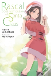 Capa do artigo Rascal Does Not Dream Of Santa Claus (Light Novel)