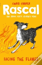 Capa do artigo Rascal: Facing The Flames