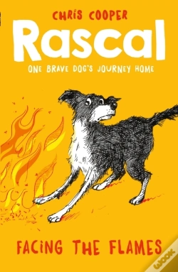 Capa do artigo Rascal: Facing The Flames