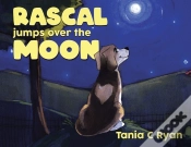 Capa do artigo Rascal Jumps Over The Moon