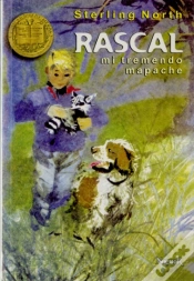 Capa do artigo Rascal, Mi Tremendo Mapache