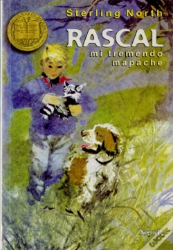 Capa do artigo Rascal, Mi Tremendo Mapache