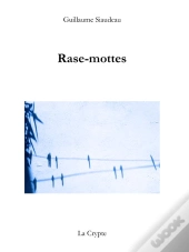 Rase-Mottes