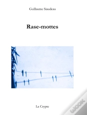 Capa do artigo Rase-Mottes