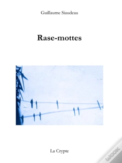 Capa do artigo Rase-Mottes