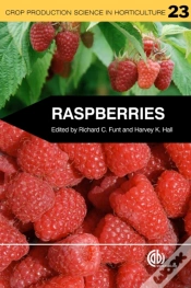 Capa do artigo Raspberries