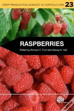 Capa do artigo Raspberries