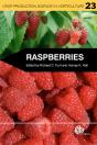 Raspberries - Preview