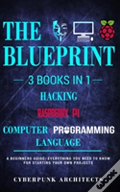 Capa do artigo Raspberry Pi & Hacking & Computer Programming Languages
