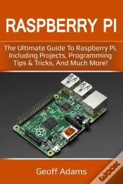 Capa do artigo Raspberry Pi