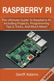 Capa do artigo Raspberry Pi