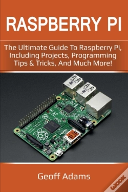 Capa do artigo Raspberry Pi