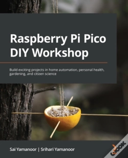 Capa do artigo Raspberry Pi Pico Diy Workshop