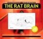 Rat Brain In Stereotaxic Coordinates - Preview