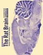 Rat Brain In Stereotaxic Coordinates - Preview