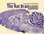 Rat Brain In Stereotaxic Coordinates: Compact - Preview