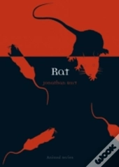 Rat