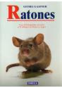 Ratones - Preview