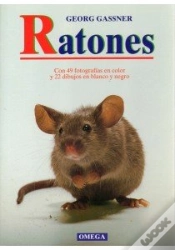 Capa do artigo Ratones