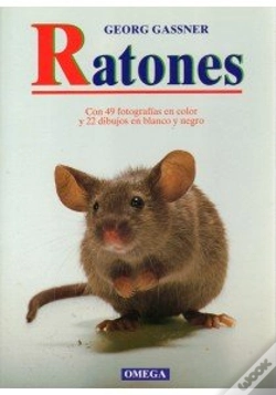 Capa do artigo Ratones