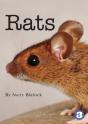 Rats - Preview