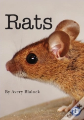 Rats