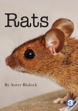 Capa do artigo Rats