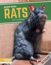 Capa do artigo Rats