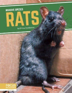 Capa do artigo Rats