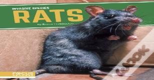 Rats