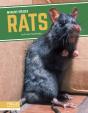 Rats - Preview