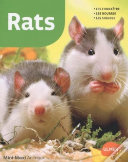 Capa do artigo Rats