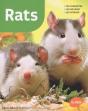 Rats - Preview