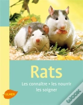 Rats ; Les Connaître, Les Nourrir, Les Soigner