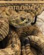 Rattlesnake - Preview