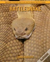 Capa do artigo Rattlesnake
