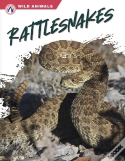 Capa do artigo Rattlesnakes