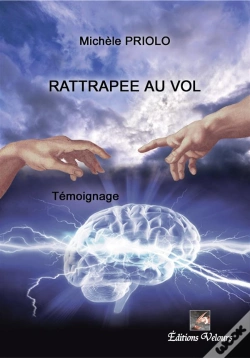 Capa do artigo Rattrapee Au Vol