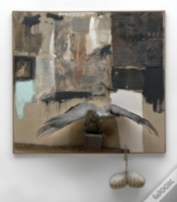 Capa do artigo Rauschenberg