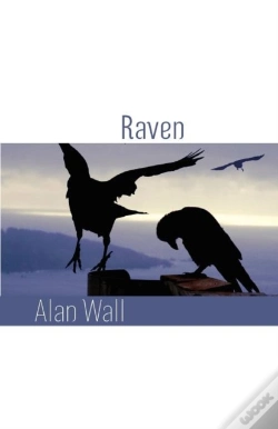 Capa do artigo Raven