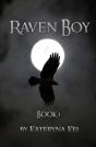 Raven Boy: Book 1 - Preview