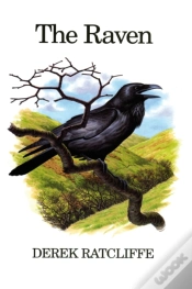 Capa do artigo Raven