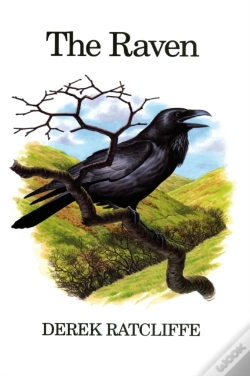 Capa do artigo Raven